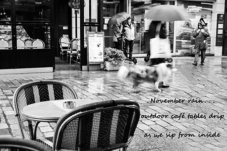 November 2021 Haiku